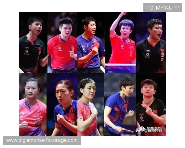 深圳乒乓球队在世界杯预选赛中的战术分析与表现评估